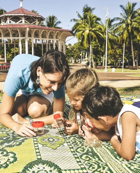 WMP en Nouvelle-Calédonie