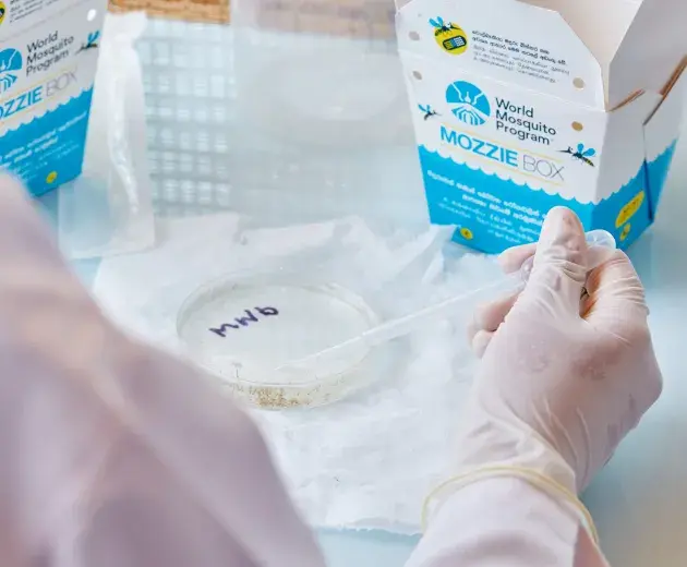Laboratoire