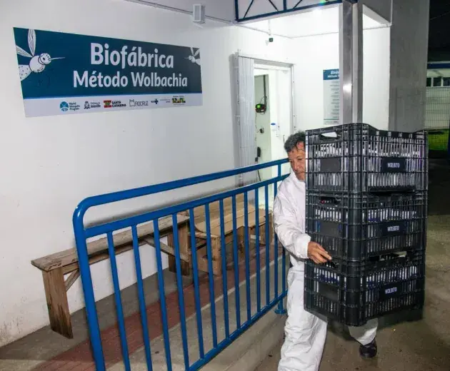 Wolbtio do Brasil volontaire