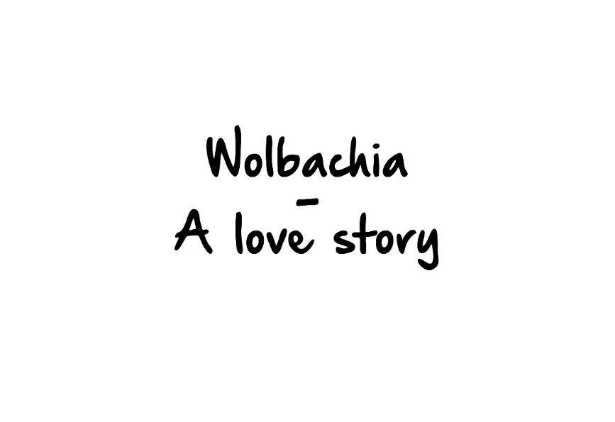 Titre de la bande dessinée