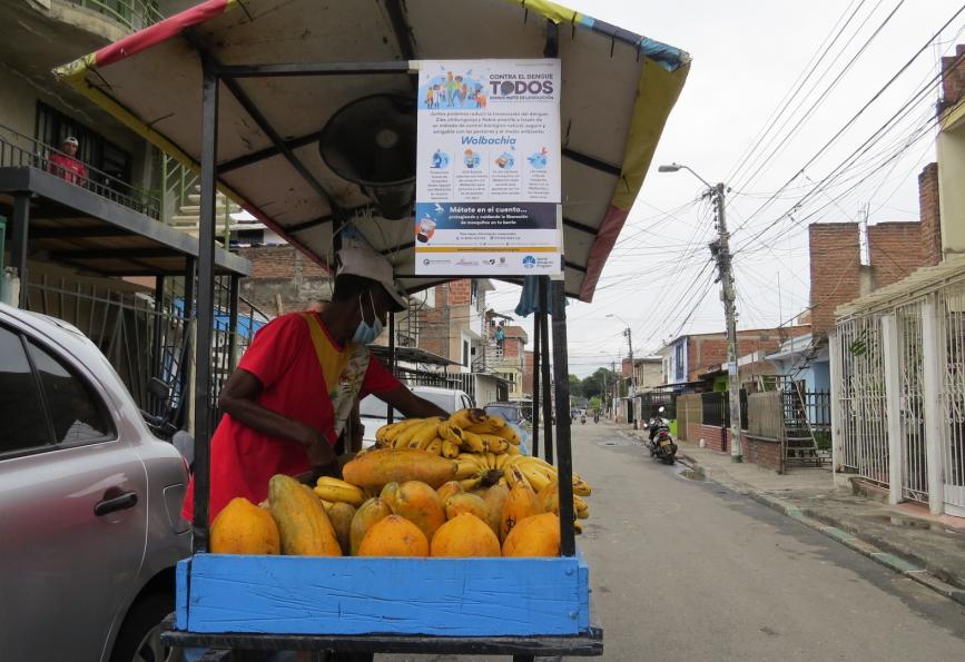 Un vendeur de fruits à côté d'un panneau sur Wolbachia à Cali, en Colombie.