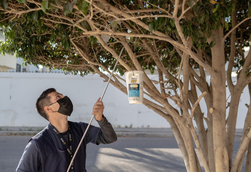Un volontaire communautaire place un Zanukit (Récipient pour le lâcher de moustiques) dans un arbre.