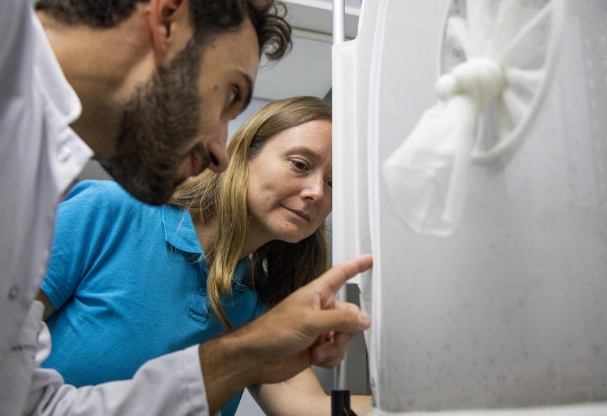 Hugo Bernard, de l'Institut Pasteur, et Nadege Rossi, de l'Institut de recherche en sciences sociales. WMP