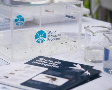WMP lancement de l'événement au Salvador