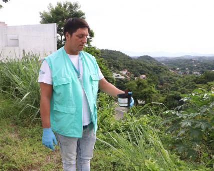 WMP Moustique de libération au Brésil .