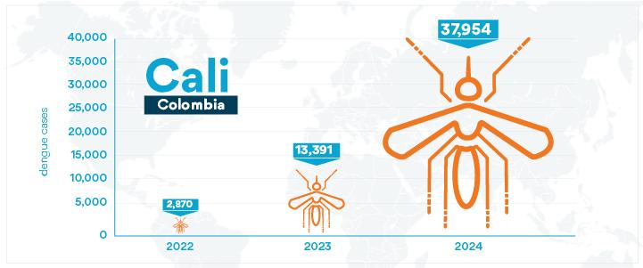 Cas de dengue à Cali